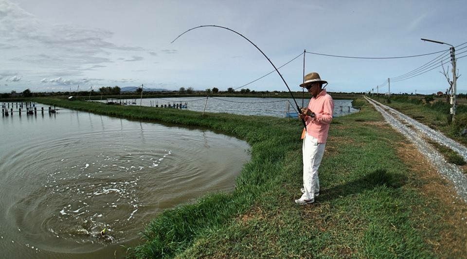 Artificial Lures For Trout
