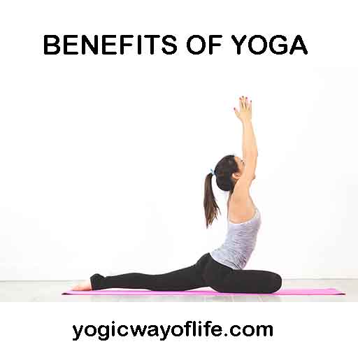yoga for beginners seniors