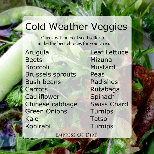 vegetable gardening classes online