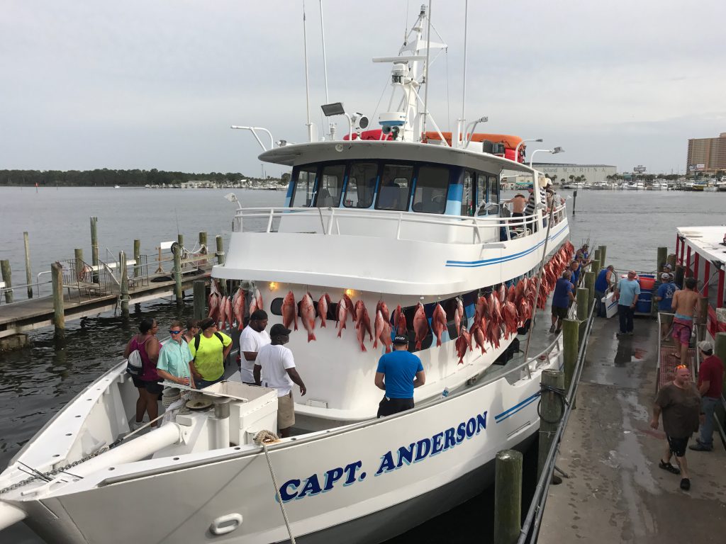 King Mackerel Fishing Tournament
