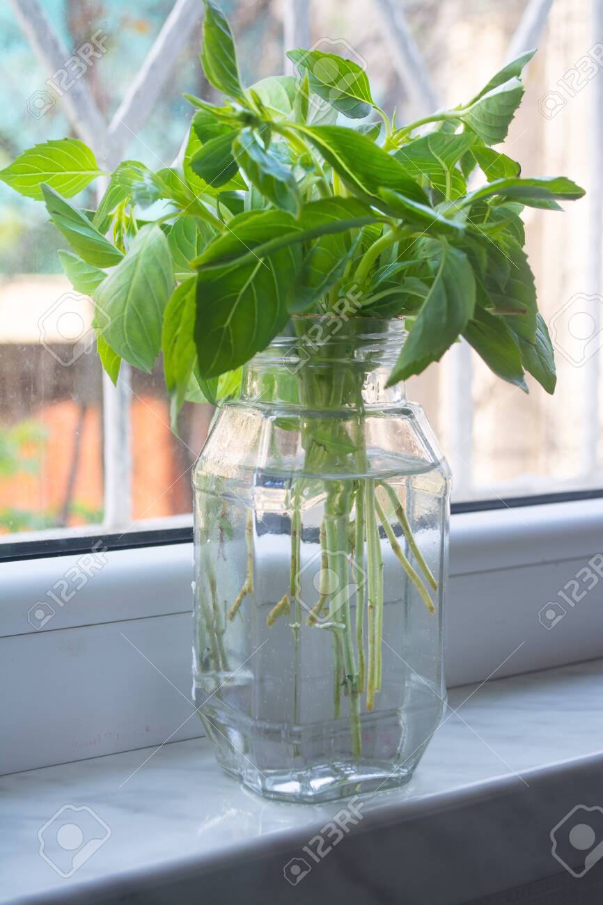 Hanging Herbs For Hanging Baskets
