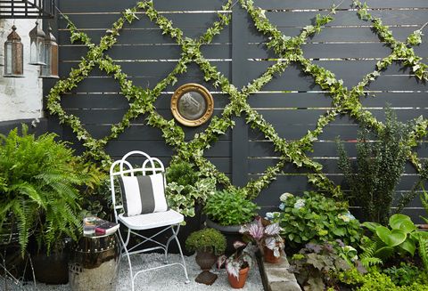 gardening in small spaces ideas