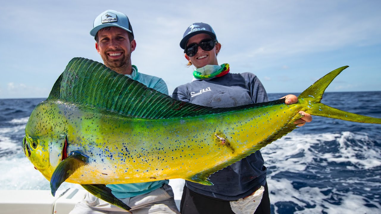 Mahi Mahi Fishing NC
