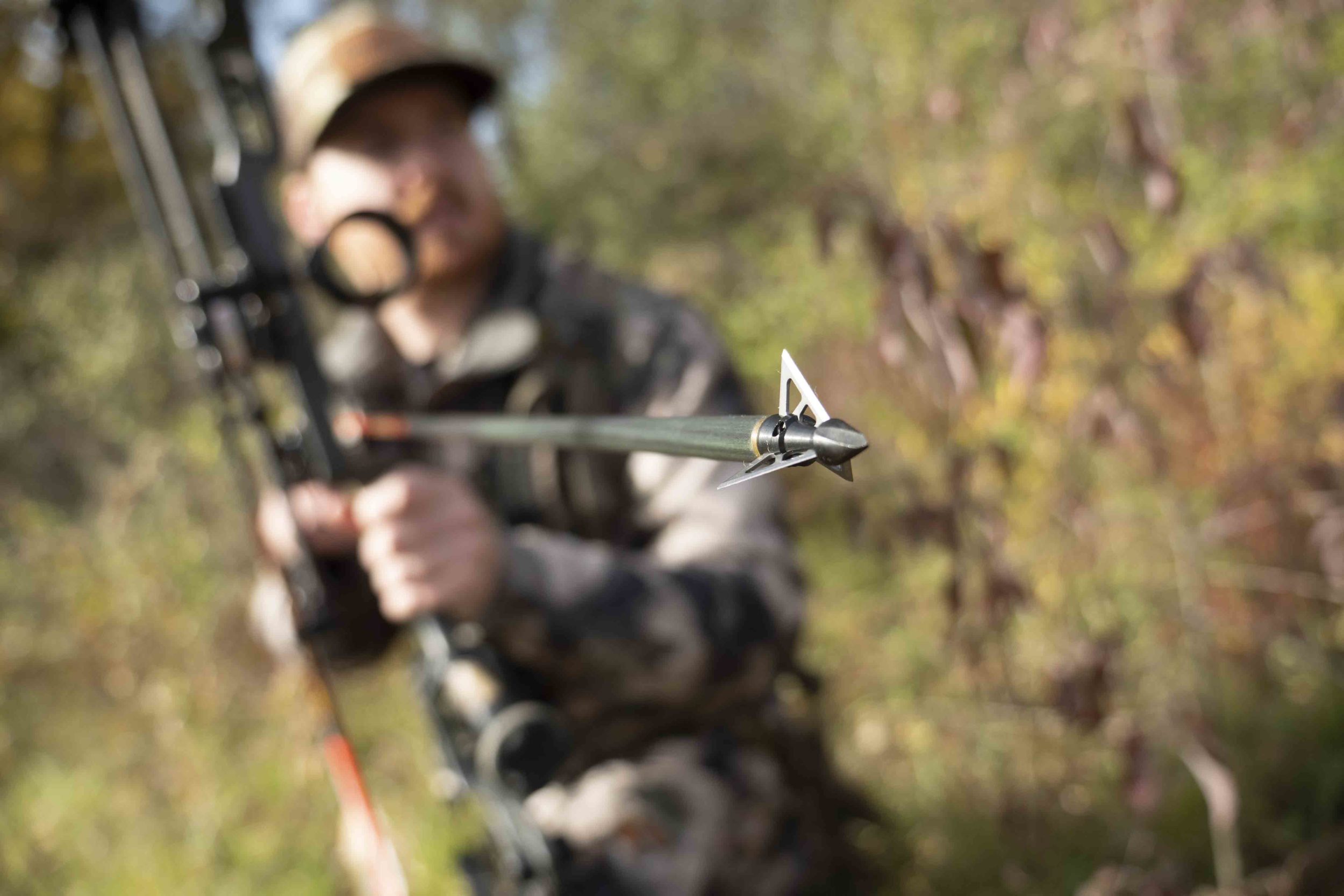 crossbow hunting season