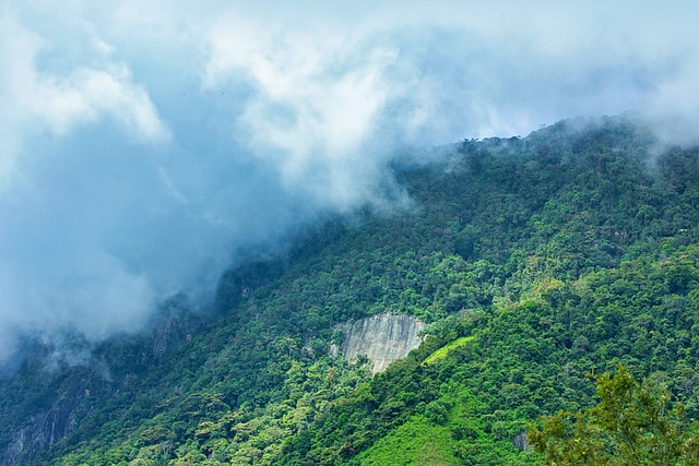 Mountain Trekking Tours