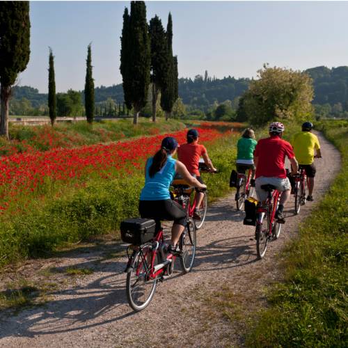 5 Best Countryside Bicycling Tours in Europe