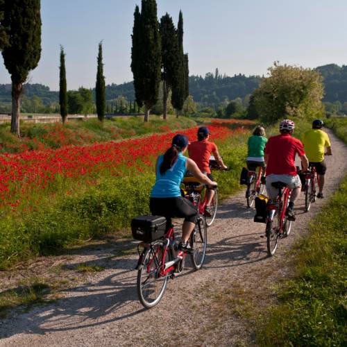 Top 14 Cycling Tour Companies for Beginners