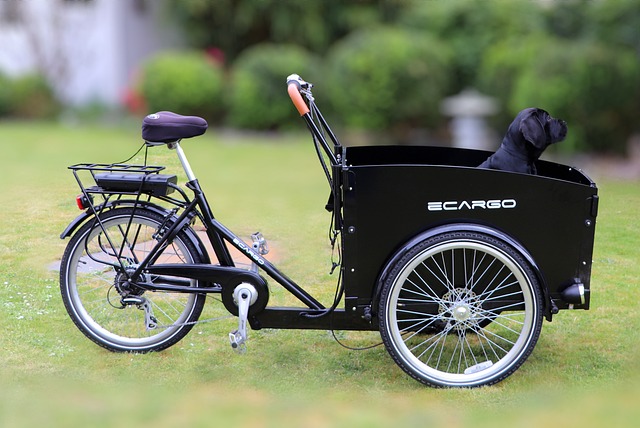 Unveiling the Eco-Friendly Superpowers of Ebikes: 13 Unexpected Environmental Advantages"