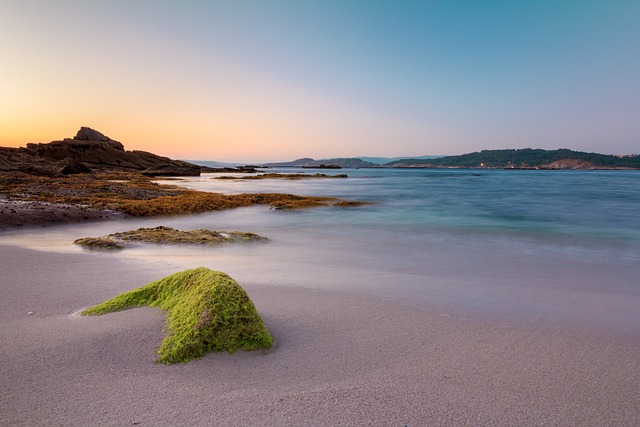 Can Intentional Living Through Mindfulness Transform Your Day-to-Day Life?