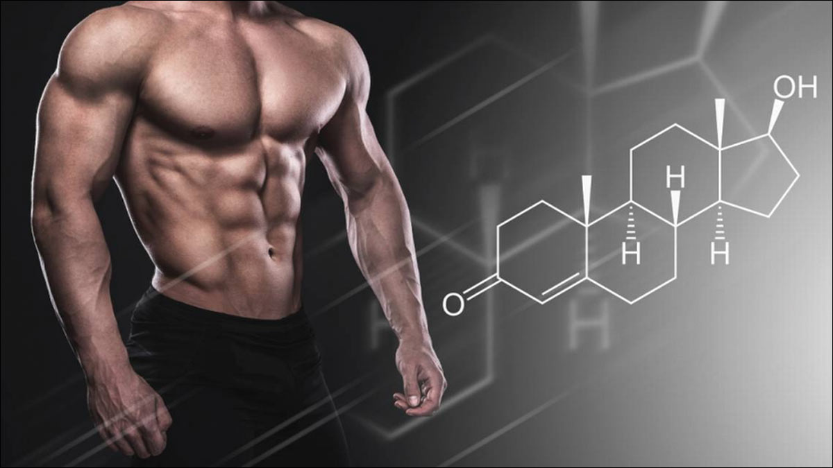 Why Use Anabolic Steroids For Muscle Growth   Anabolic Steroids For Muscle Growth IP450932 