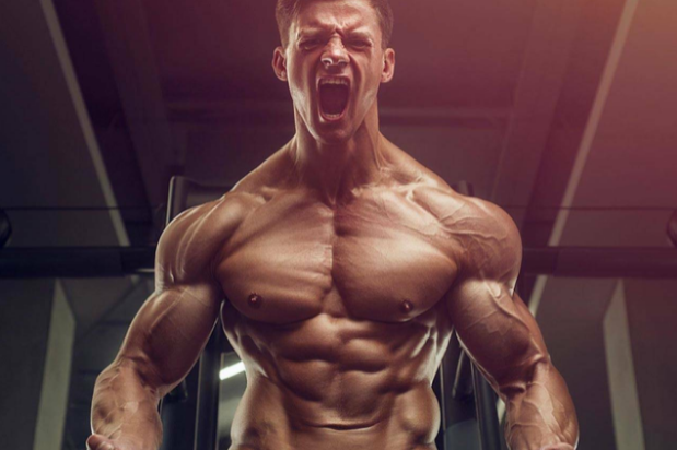 oral anabolic steroids for muscle growth