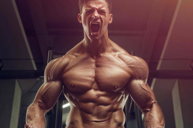 Why Use Anabolic Steroids For Muscle Growth   Legal Steroids For Muscle Growth IP450936 