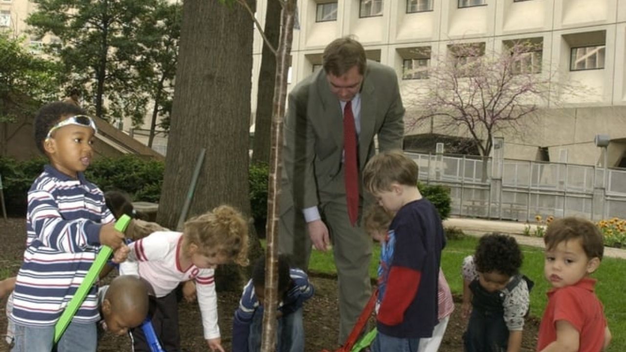 7 Benefits of Urban Trees for Cleaner Air and a Healthier City