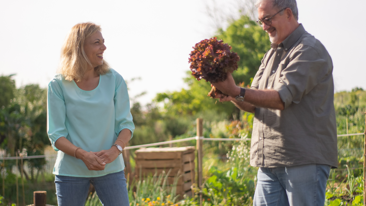 Pest Control Tips Every Senior Gardener Needs for Small Spaces