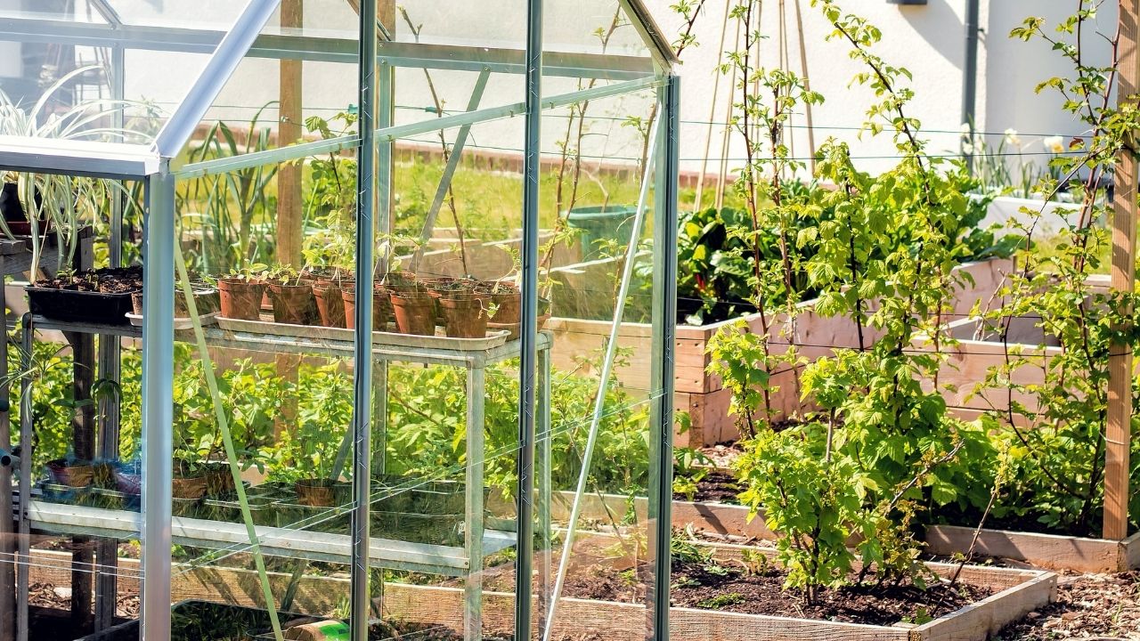 Indoor Greenhouse Setup: The Quintessential Diy Project For The Modern Homeowner."