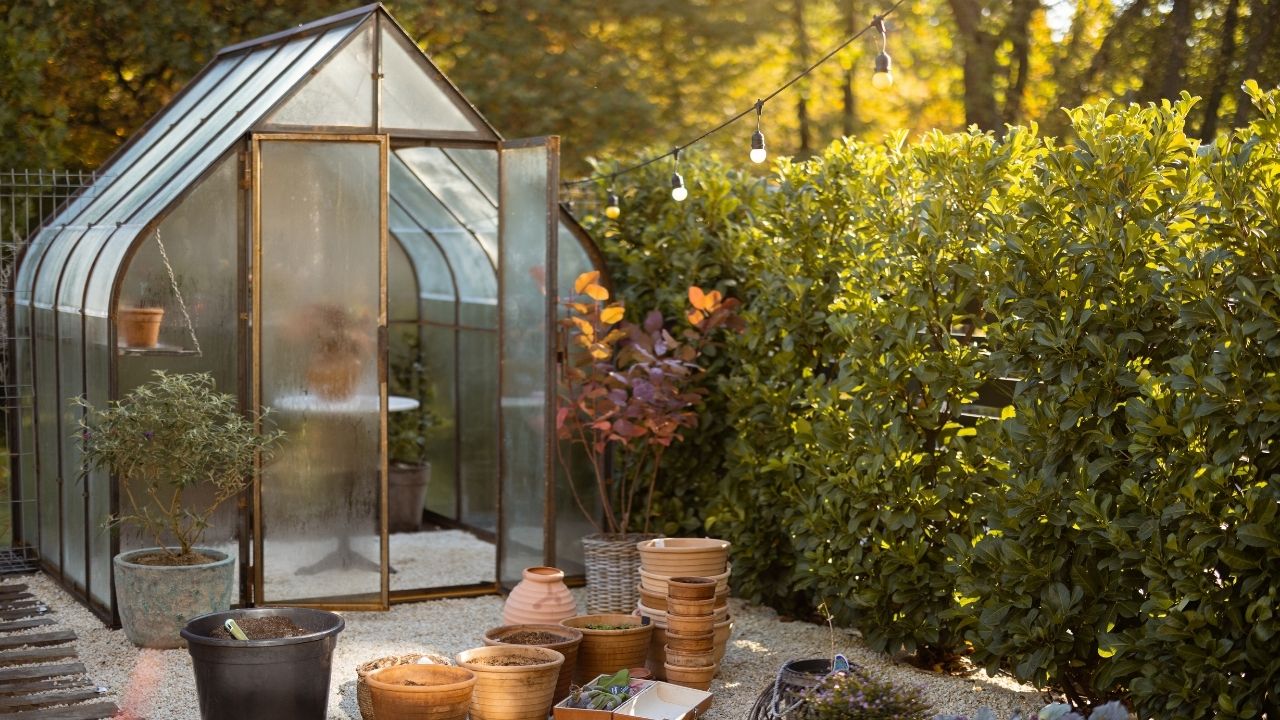 From Chill To Thrill: Mastering Climate Control In Your Indoor Greenhouse."