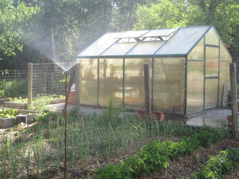 Your Home's Secret Garden: Choosing The Best Plants For Your Indoor Greenhouse