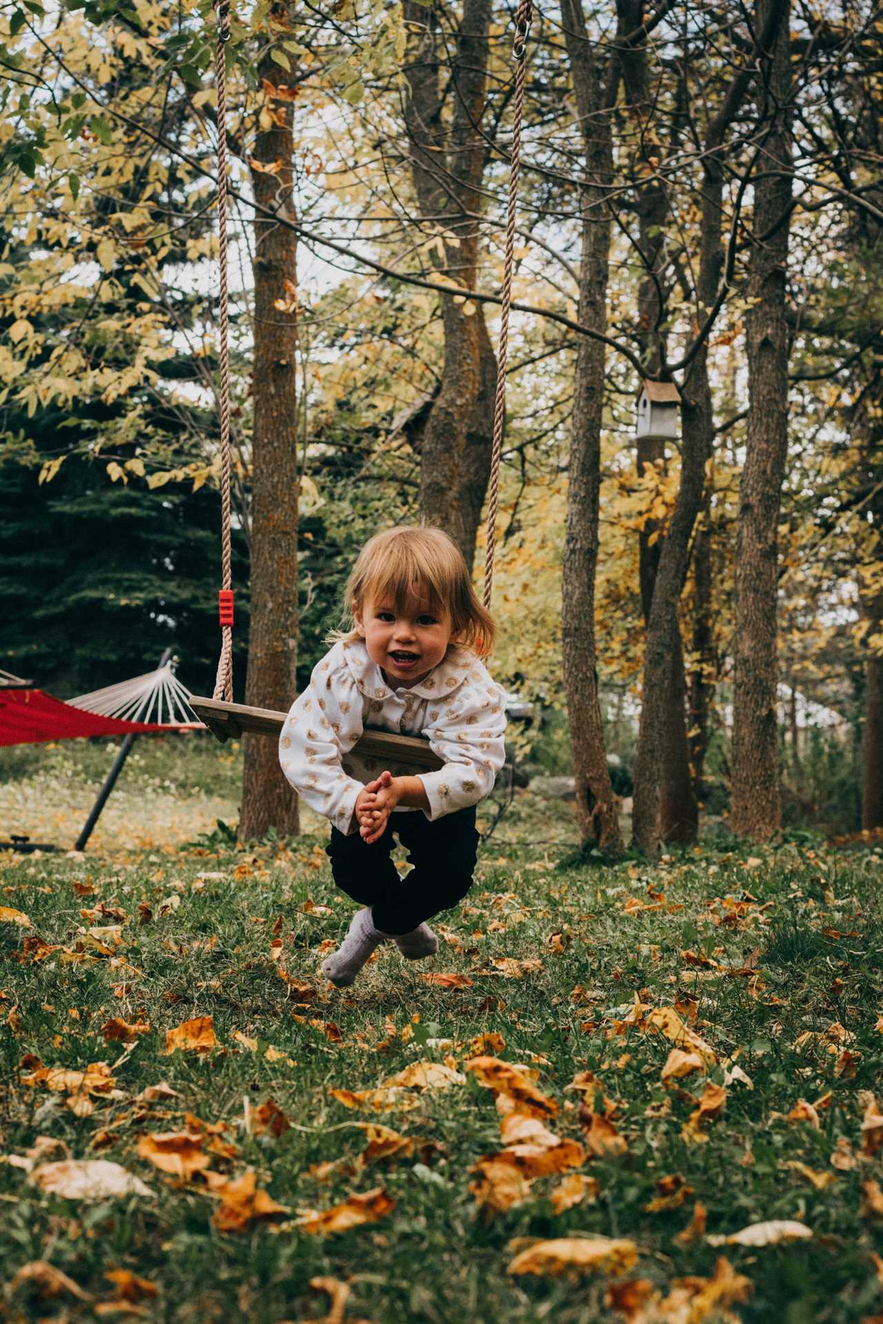 The Power of Open-Ended Toys: Igniting Creativity and Development