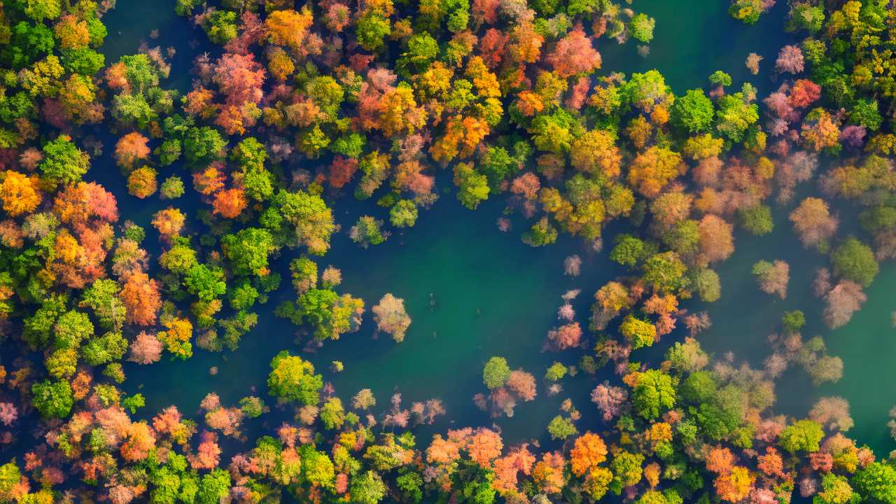 How do I get a green card asap?