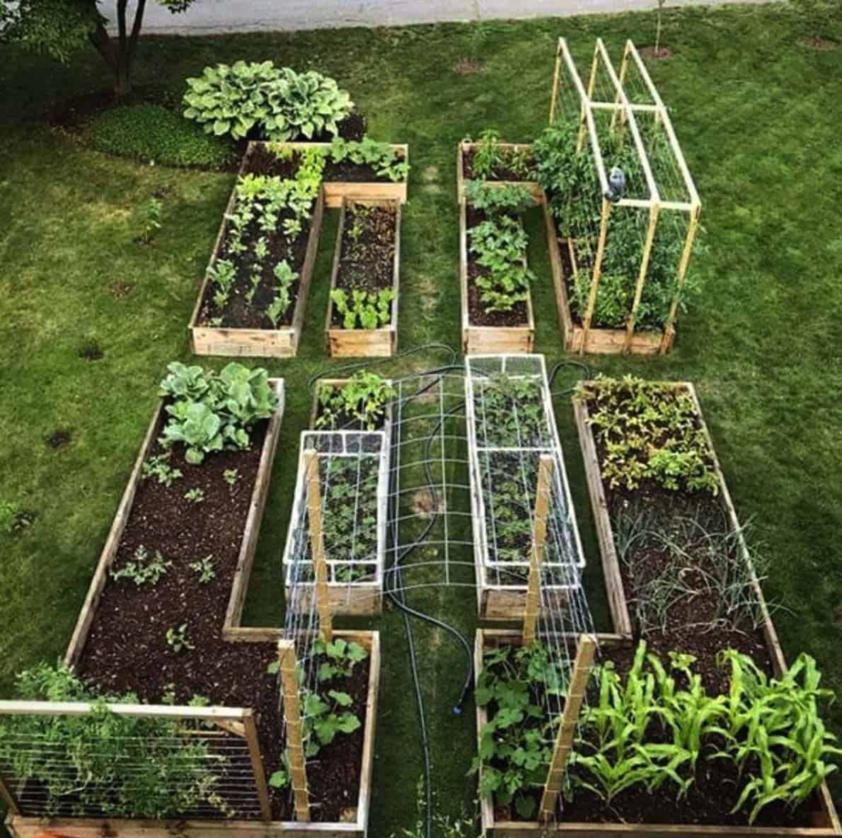 vegetable gardening 101 youtube