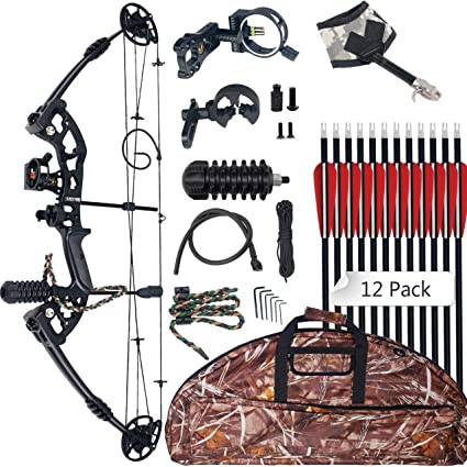 disabled hunting permit