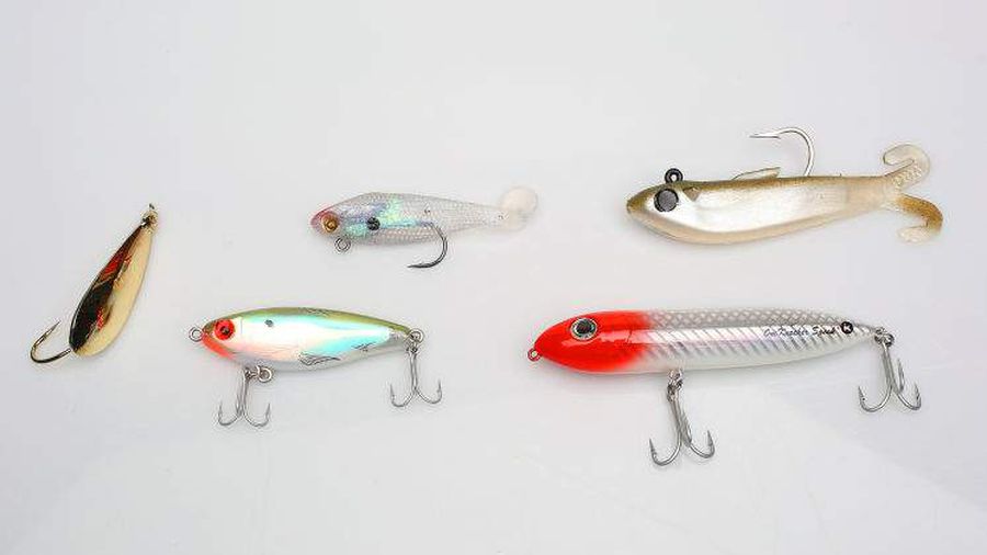 Different types of plugs for fishing
