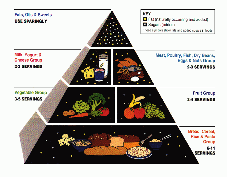 what are different cooking techniques