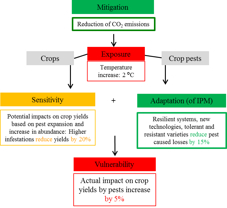 advice for gardening