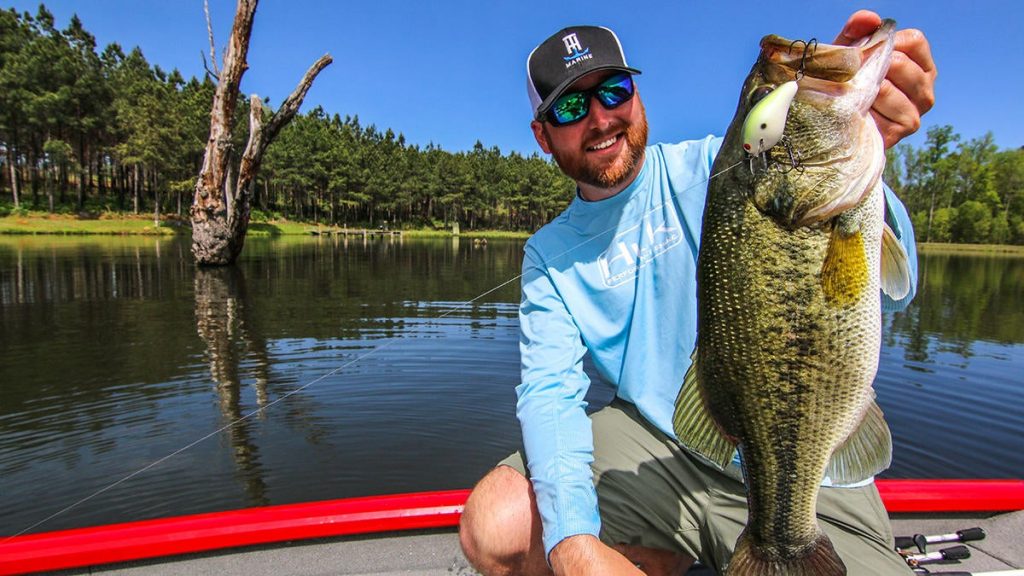 Large Mouth Bass
