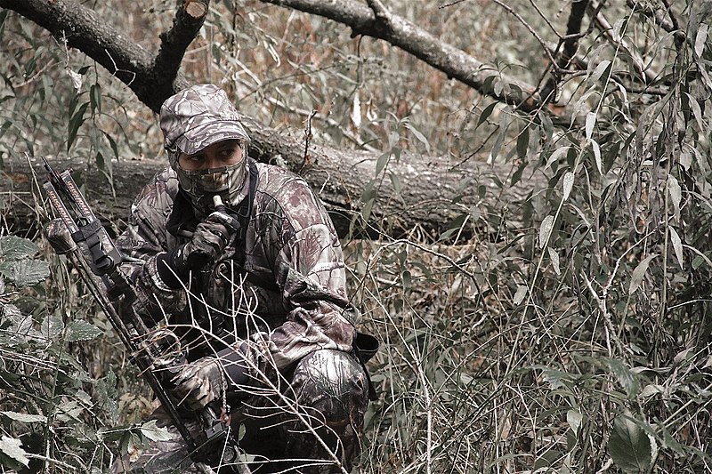How to choose the best gravity feeders for your deer
