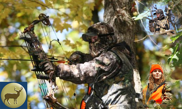 Archery Expert Lars Anderson Debunks Some Myths About Archery
