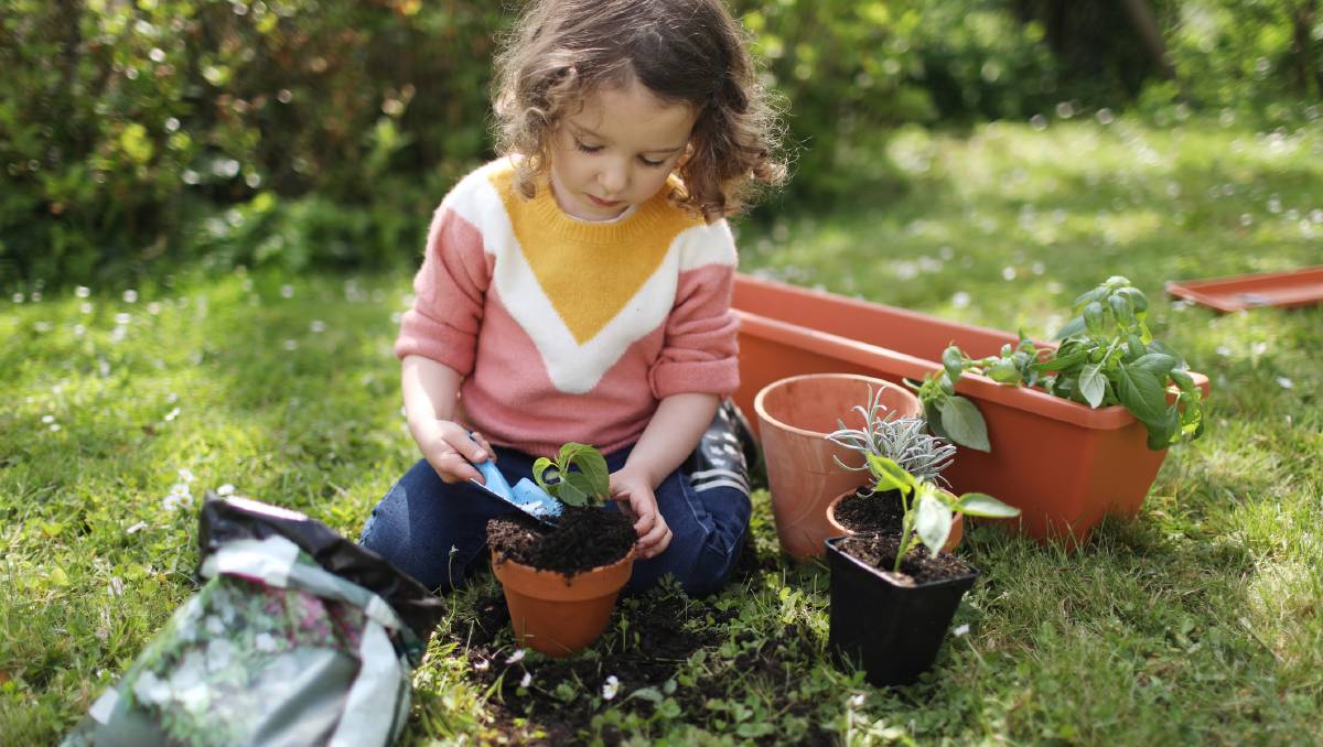 kitchen herb gardening