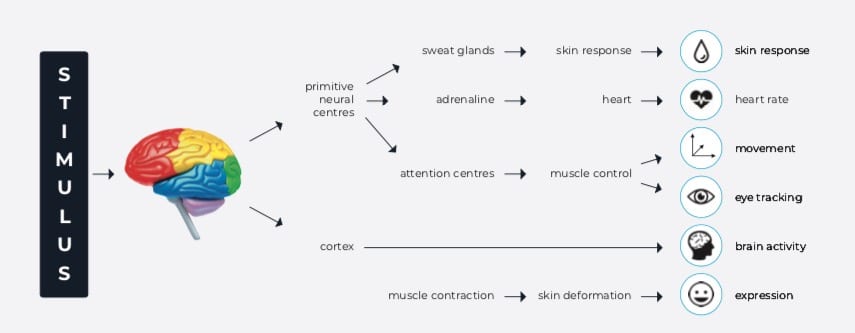 brief history of machine learning