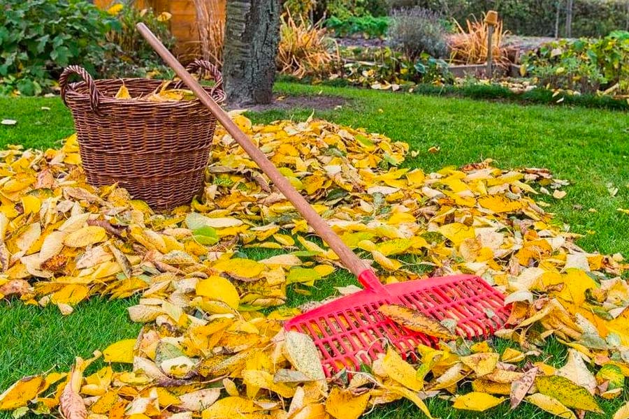 Vegetable Gardening