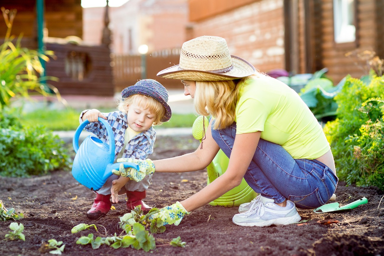 How to Use Garden Row Cover fabric
