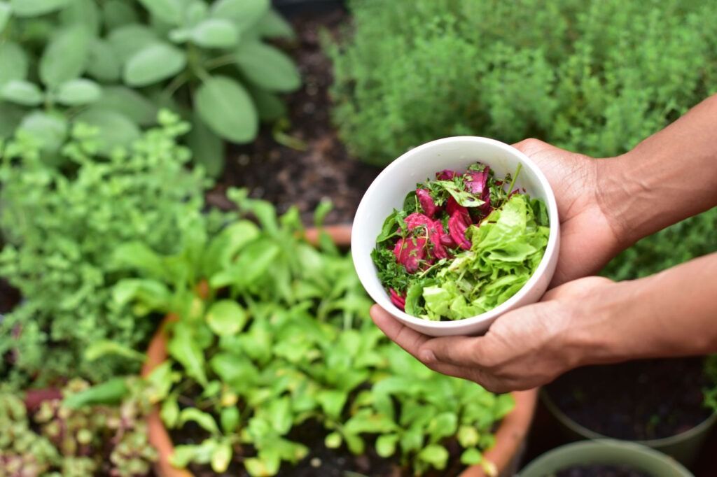 kitchen herb gardening