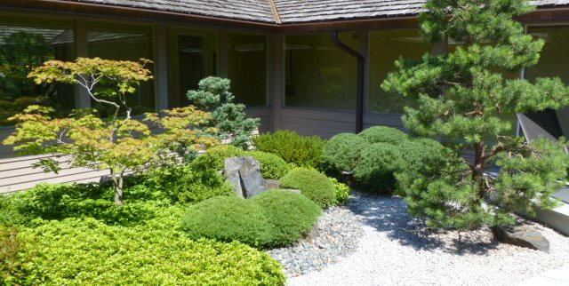 herb gardening in containers