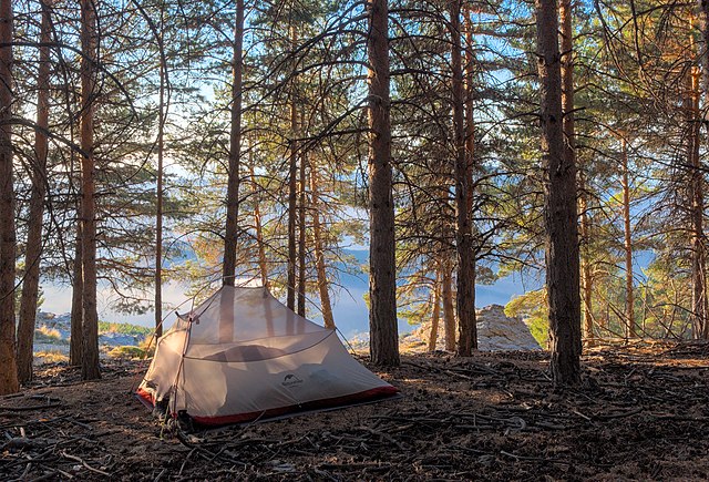 Camping in Texas - Big Bend Campsites
