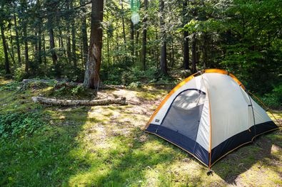 What is Group Camping?
