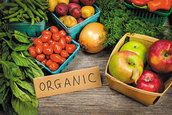 Ecco - The Organic Healthy Online Shop
