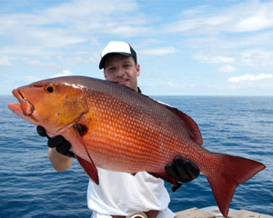 fishing boat