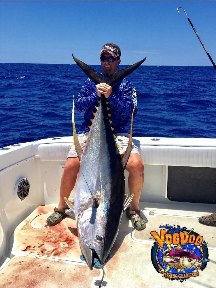 Blackfin Tuna Fishing Guide
