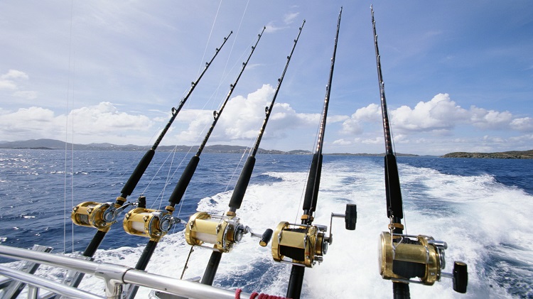 fishing gear for sale