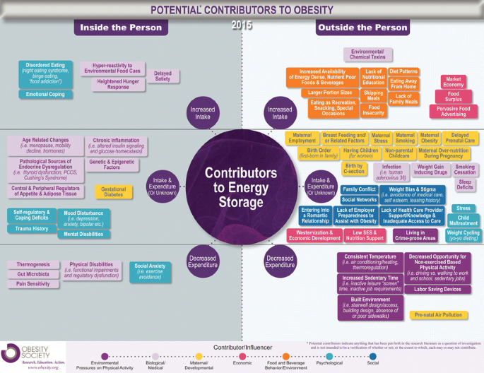 health and fitness programme examples