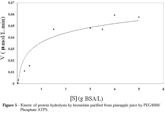 Why Whey Protein Works So Well for Athletes
