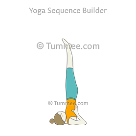 yoga workouts for beginners