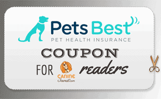 GEICO, Healthy Paws, Prudent, Progressive Pet Insurance Washington
