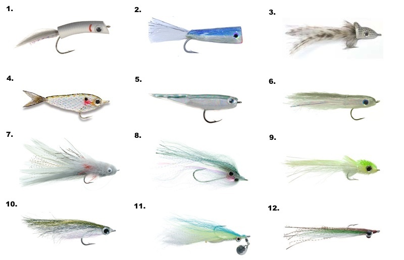 Red Drum Habitat and the Life Cycle
