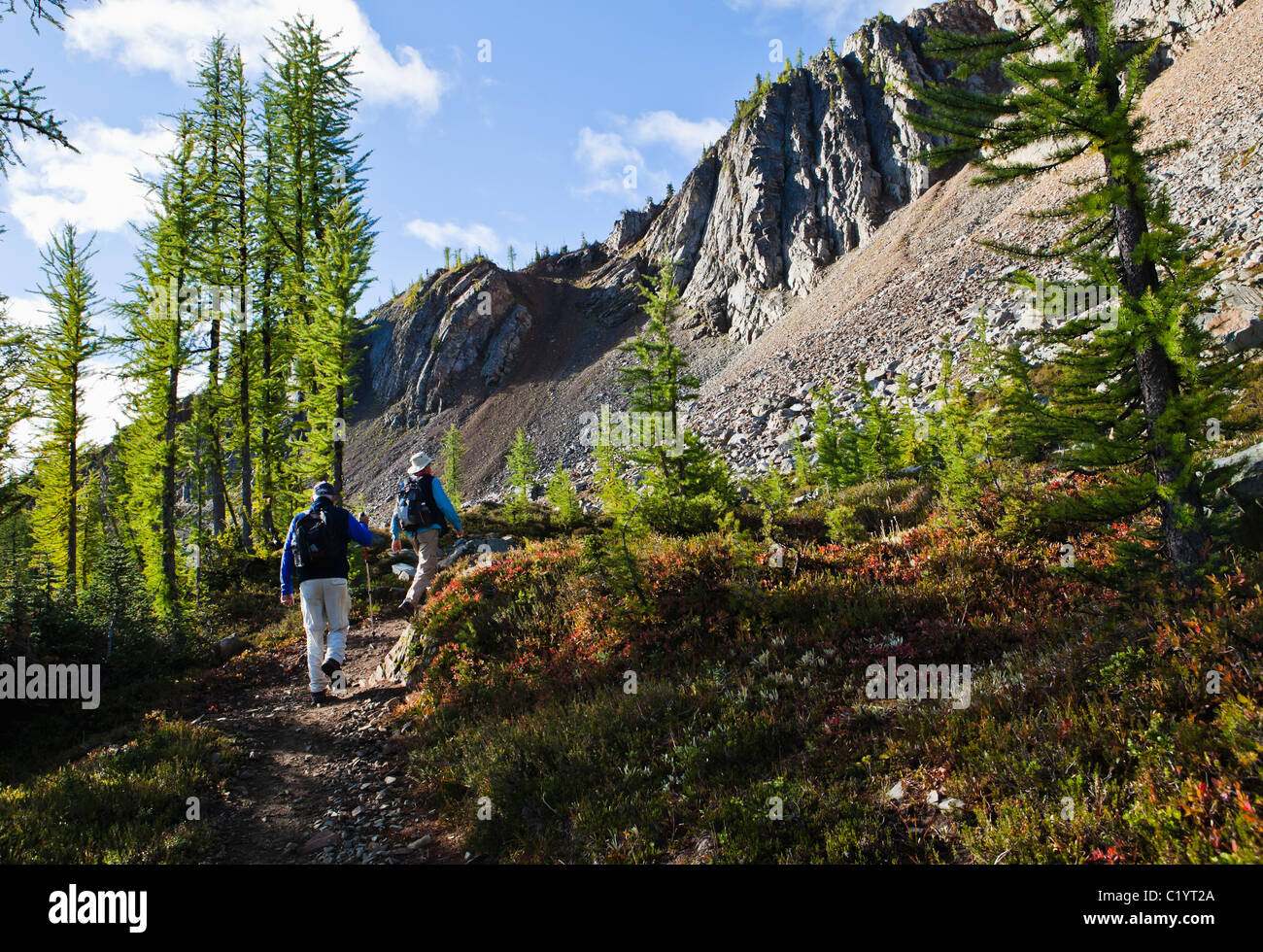 The National Parks of the North Pacific Trail and Pacific Crest Trail
