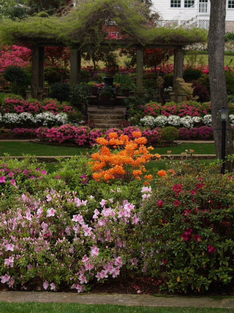 When is the best time to plant vegetables in Missouri?
